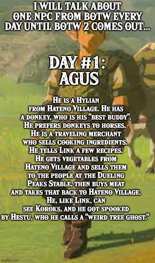 Talking about NPCs until BoTW 2. Day #1: Agus. | I WILL TALK ABOUT ONE NPC FROM BOTW EVERY DAY UNTIL BOTW 2 COMES OUT... DAY #1: 
AGUS; He is a Hylian from Hateno Village. He has a donkey, who is his "best buddy".
He prefers donkeys to horses. 
He is a traveling merchant who sells cooking ingredients. 
He tells Link a few recipes.
He gets vegetables from Hateno Village and sells them to the people at the Dueling Peaks Stable, then buys meat and takes that back to Hateno Village.
He, like Link, can see Koroks, and he got spooked by Hestu, who he calls a "weird tree ghost." | image tagged in one npc every day,the legend of zelda breath of the wild | made w/ Imgflip meme maker