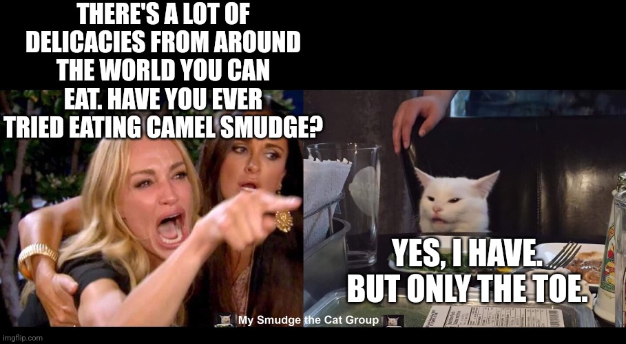 THERE'S A LOT OF DELICACIES FROM AROUND THE WORLD YOU CAN EAT. HAVE YOU EVER TRIED EATING CAMEL SMUDGE? YES, I HAVE. BUT ONLY THE TOE. | image tagged in smudge the cat,woman yelling at cat | made w/ Imgflip meme maker