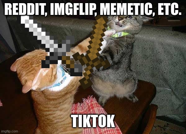 Two cats fighting for real | REDDIT, IMGFLIP, MEMETIC, ETC. TIKTOK | image tagged in two cats fighting for real | made w/ Imgflip meme maker