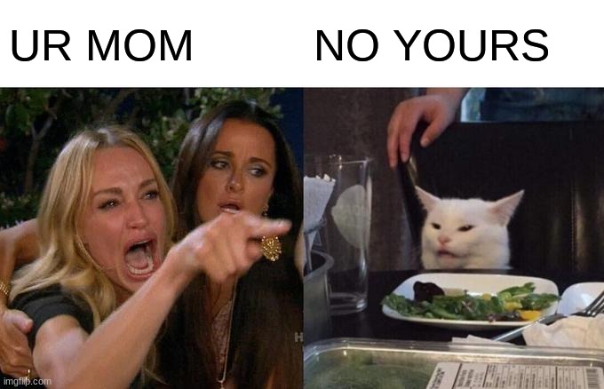 BOTH OF YOURS | UR MOM; NO YOURS | image tagged in memes,woman yelling at cat | made w/ Imgflip meme maker