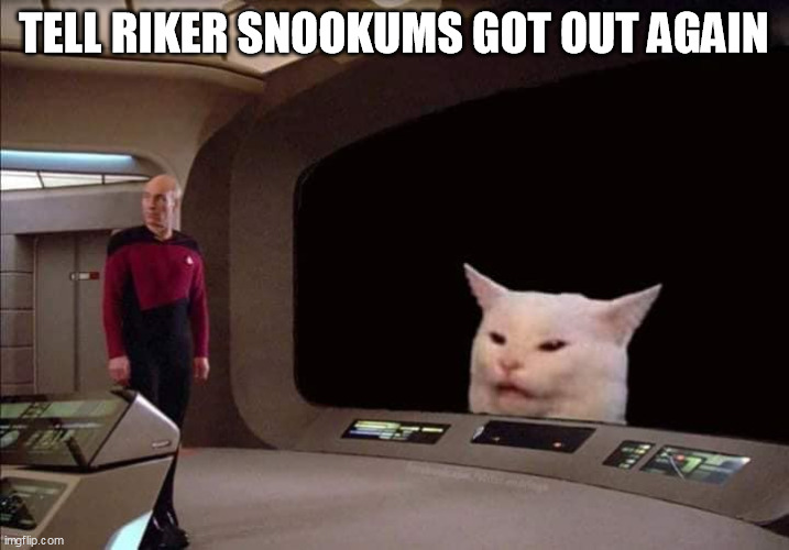 Rikers Pet Escapes | TELL RIKER SNOOKUMS GOT OUT AGAIN | image tagged in picard confused about cat,riker,snookums | made w/ Imgflip meme maker