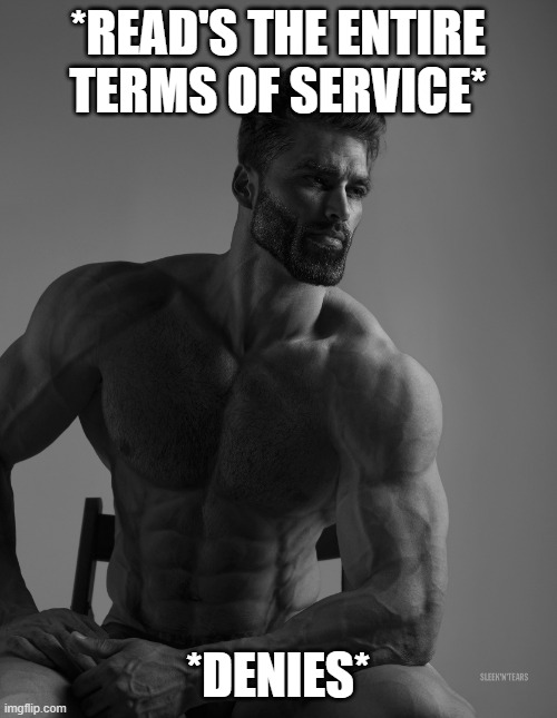 Giga Chad | *READ'S THE ENTIRE TERMS OF SERVICE* *DENIES* | image tagged in giga chad | made w/ Imgflip meme maker