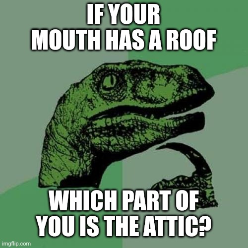 Parts of housing used to describe the human body....why |  IF YOUR MOUTH HAS A ROOF; WHICH PART OF YOU IS THE ATTIC? | image tagged in memes,philosoraptor,house,body,questions | made w/ Imgflip meme maker