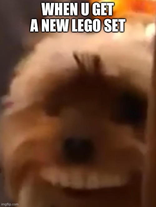 Happy dog | WHEN U GET A NEW LEGO SET | image tagged in happy dog | made w/ Imgflip meme maker