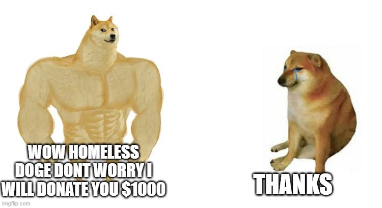 strong doge donates weak doge a dollar | THANKS; WOW HOMELESS DOGE DONT WORRY I WILL DONATE YOU $1000 | image tagged in strong doge weak doge | made w/ Imgflip meme maker