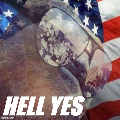 HELL YES | made w/ Imgflip meme maker