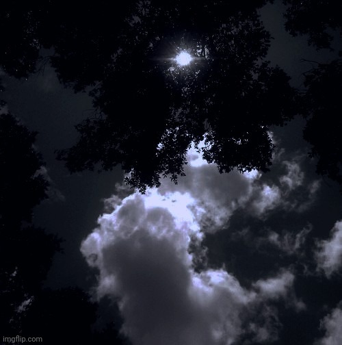 played around w filters on a picture i took earlier today :D, made it look like it was taken at night | made w/ Imgflip meme maker