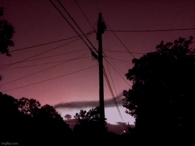 posting more prebbi photos (all taken by me, this time actually at night) | made w/ Imgflip meme maker