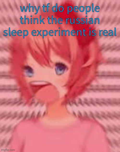 not all wishes come true | why tf do people think the russian sleep experiment is real | image tagged in a | made w/ Imgflip meme maker