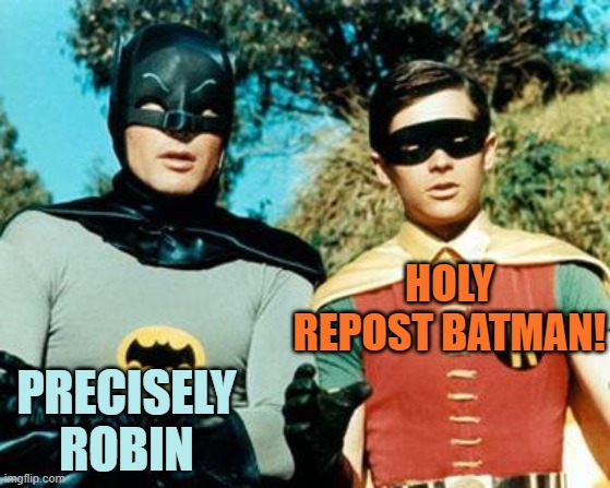 Batman and Robin | PRECISELY ROBIN HOLY REPOST BATMAN! | image tagged in batman and robin | made w/ Imgflip meme maker