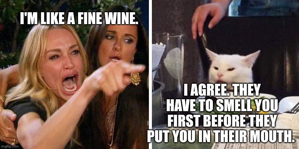 Smudge the cat | I'M LIKE A FINE WINE. I AGREE. THEY HAVE TO SMELL YOU FIRST BEFORE THEY PUT YOU IN THEIR MOUTH. | image tagged in smudge the cat | made w/ Imgflip meme maker