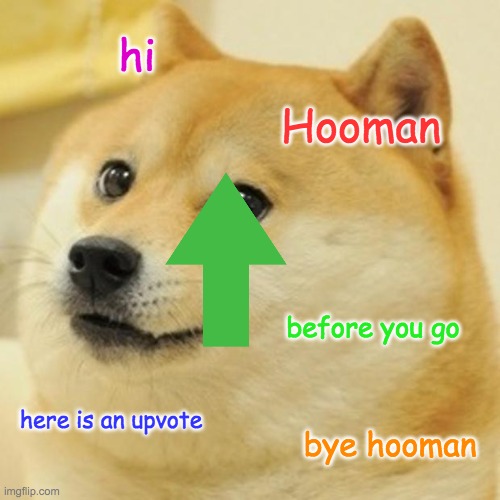 Doge | hi; Hooman; before you go; here is an upvote; bye hooman | image tagged in memes,doge | made w/ Imgflip meme maker