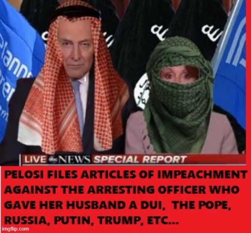 Pelosi Articles of Impeachment against the cop who gave her husband a DUI, the Pope, Putin, Russia, North Korea, Trump, etc. | made w/ Imgflip meme maker