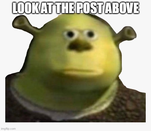 Skrek bruh | LOOK AT THE POST ABOVE | image tagged in skrek bruh | made w/ Imgflip meme maker