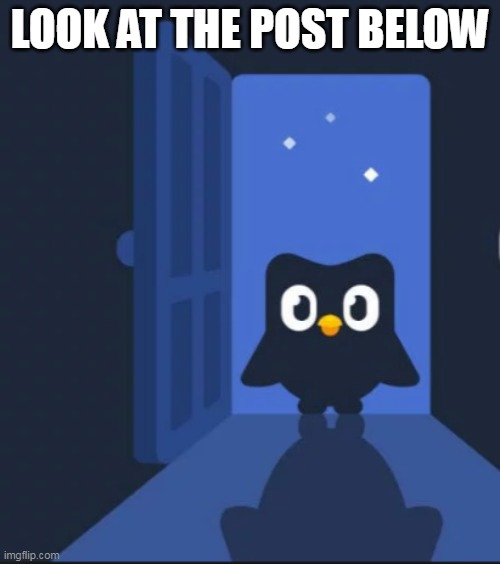 Duolingo bird | LOOK AT THE POST BELOW | image tagged in duolingo bird | made w/ Imgflip meme maker