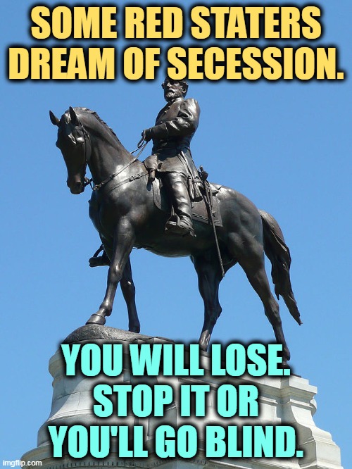 There goes your Social Security and your Medicare. They are not transferable. | SOME RED STATERS DREAM OF SECESSION. YOU WILL LOSE.
STOP IT OR YOU'LL GO BLIND. | image tagged in confederatelosers,civil war,south,losers | made w/ Imgflip meme maker