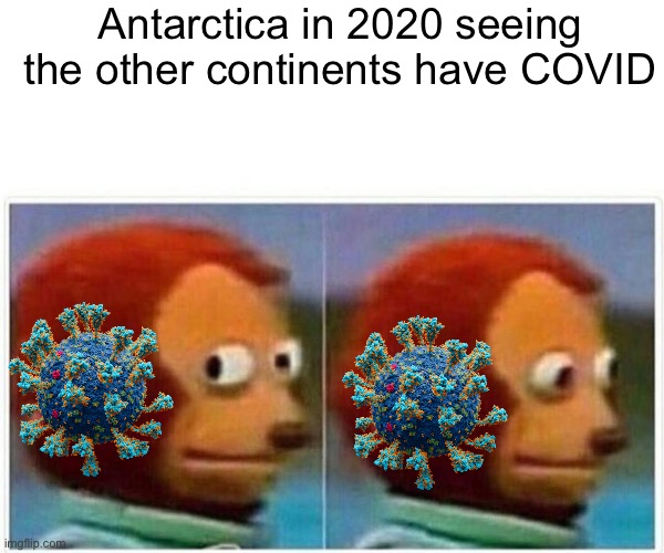 Monkey Puppet Meme | Antarctica in 2020 seeing the other continents have COVID | image tagged in memes,monkey puppet | made w/ Imgflip meme maker
