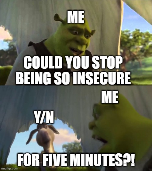 shrek five minutes | ME; COULD YOU STOP BEING SO INSECURE; ME; Y/N; FOR FIVE MINUTES?! | image tagged in shrek five minutes | made w/ Imgflip meme maker