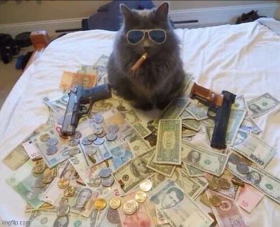 Pimp Cat Big Daddy Catnip | image tagged in pimp cat big daddy catnip | made w/ Imgflip meme maker