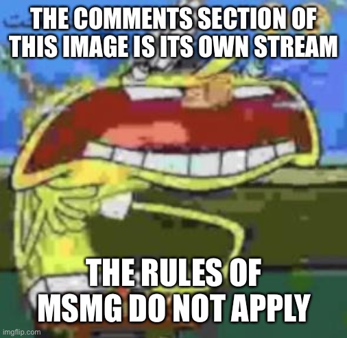 THE COMMENTS SECTION OF THIS IMAGE IS ITS OWN STREAM; THE RULES OF MSMG DO NOT APPLY | made w/ Imgflip meme maker