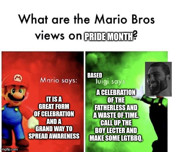 Mario Bros Views |  PRIDE MONTH; BASED; A CELEBRATION OF THE FATHERLESS AND A WASTE OF TIME. CALL UP THE BOY LECTER AND MAKE SOME LGTBBQ. IT IS A GREAT FORM OF CELEBRATION AND A GRAND WAY TO SPREAD AWARENESS | image tagged in mario bros views | made w/ Imgflip meme maker