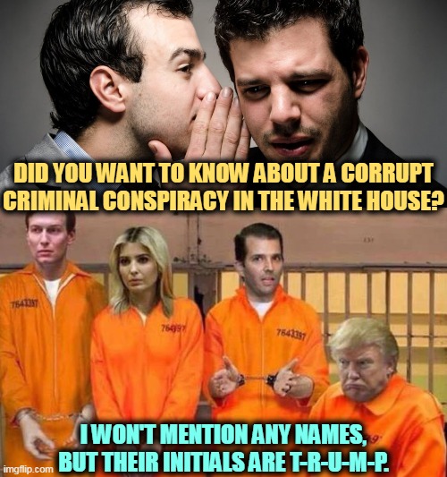 DID YOU WANT TO KNOW ABOUT A CORRUPT
CRIMINAL CONSPIRACY IN THE WHITE HOUSE? I WON'T MENTION ANY NAMES, BUT THEIR INITIALS ARE T-R-U-M-P. | image tagged in corrupt,criminal,conspiracy,white house,trump | made w/ Imgflip meme maker