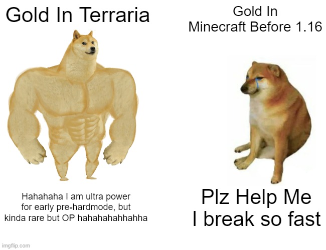 gold in terraria vs gold in minecraft | Gold In Terraria; Gold In Minecraft Before 1.16; Hahahaha I am ultra power for early pre-hardmode, but kinda rare but OP hahahahahhahha; Plz Help Me I break so fast | image tagged in memes,buff doge vs cheems | made w/ Imgflip meme maker