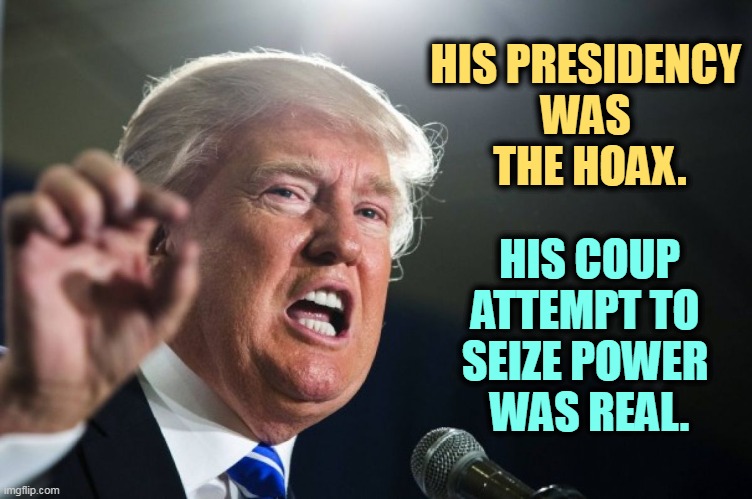 Donald Trump, the Hoax. | HIS PRESIDENCY 
WAS 
THE HOAX. HIS COUP ATTEMPT TO 
SEIZE POWER 
WAS REAL. | image tagged in donald trump,president,hoax,coup,real | made w/ Imgflip meme maker