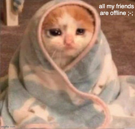 even my irl ones ;-; | all my friends are offline ;-; | image tagged in sad blanket cat | made w/ Imgflip meme maker