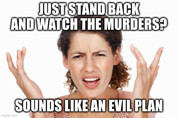 when someone offers 'thoughts and prayers' | JUST STAND BACK AND WATCH THE MURDERS? SOUNDS LIKE AN EVIL PLAN | image tagged in indignant | made w/ Imgflip meme maker