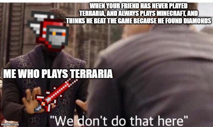 your freind found diamonds | WHEN YOUR FRIEND HAS NEVER PLAYED TERRARIA, AND ALWAYS PLAYS MINECRAFT, AND THINKS HE BEAT THE GAME BECAUSE HE FOUND DIAMONDS; ME WHO PLAYS TERRARIA | image tagged in we dont do that here | made w/ Imgflip meme maker