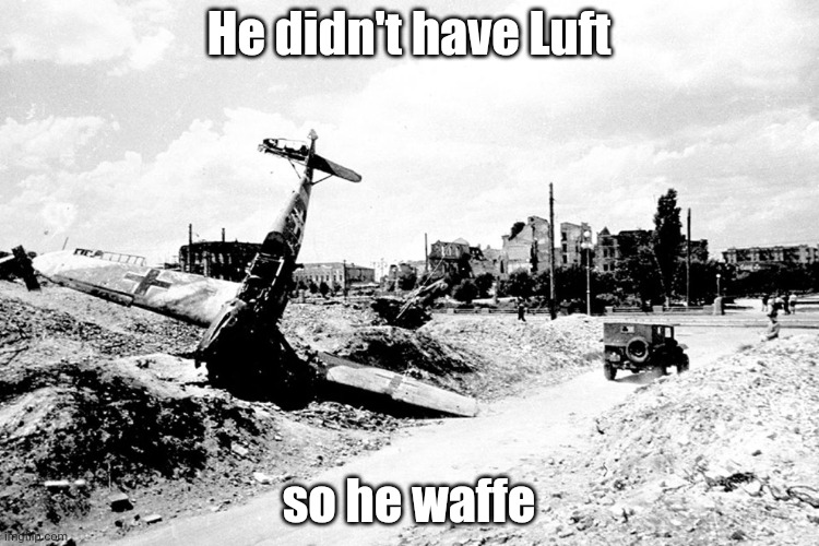 Idk, I'm bored | He didn't have Luft; so he waffe | image tagged in stalingrad | made w/ Imgflip meme maker