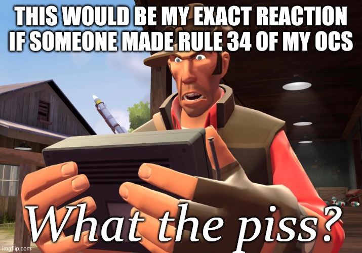 What the piss? | THIS WOULD BE MY EXACT REACTION IF SOMEONE MADE RULE 34 OF MY OCS | image tagged in what the piss | made w/ Imgflip meme maker