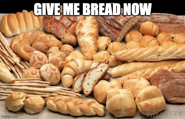 GIVE ME BREAD NOW | image tagged in bread | made w/ Imgflip meme maker