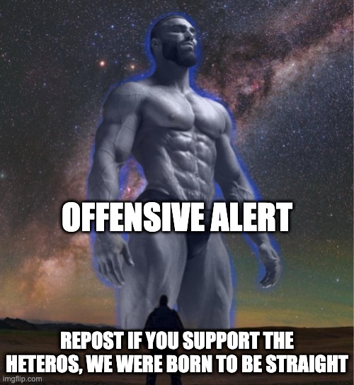 oh no they are coming | OFFENSIVE ALERT; REPOST IF YOU SUPPORT THE HETEROS, WE WERE BORN TO BE STRAIGHT | image tagged in omega chad | made w/ Imgflip meme maker