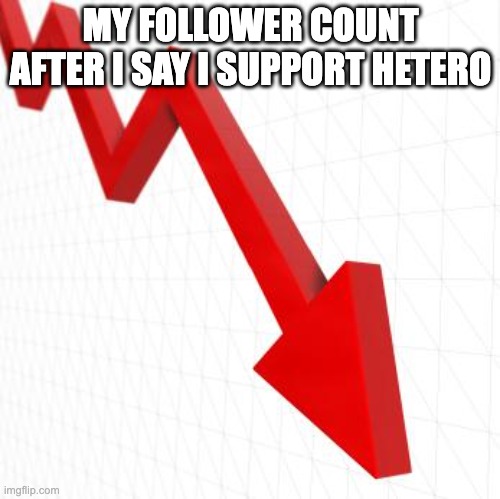 Down chart | MY FOLLOWER COUNT AFTER I SAY I SUPPORT HETERO | image tagged in down chart | made w/ Imgflip meme maker