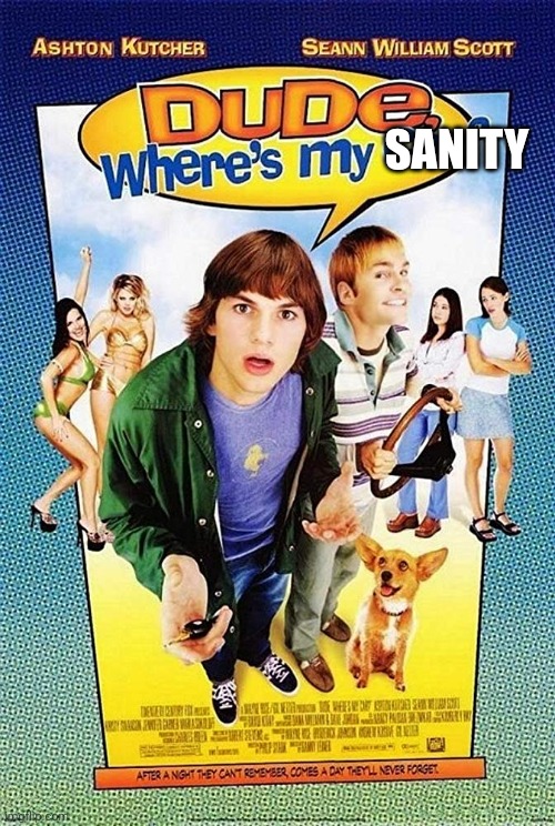 Dude Where's my car? | SANITY | image tagged in dude where's my car | made w/ Imgflip meme maker