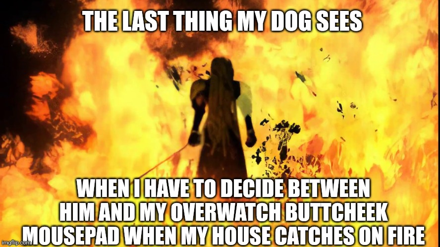 I never came back | THE LAST THING MY DOG SEES; WHEN I HAVE TO DECIDE BETWEEN HIM AND MY OVERWATCH BUTTCHEEK MOUSEPAD WHEN MY HOUSE CATCHES ON FIRE | image tagged in humor | made w/ Imgflip meme maker