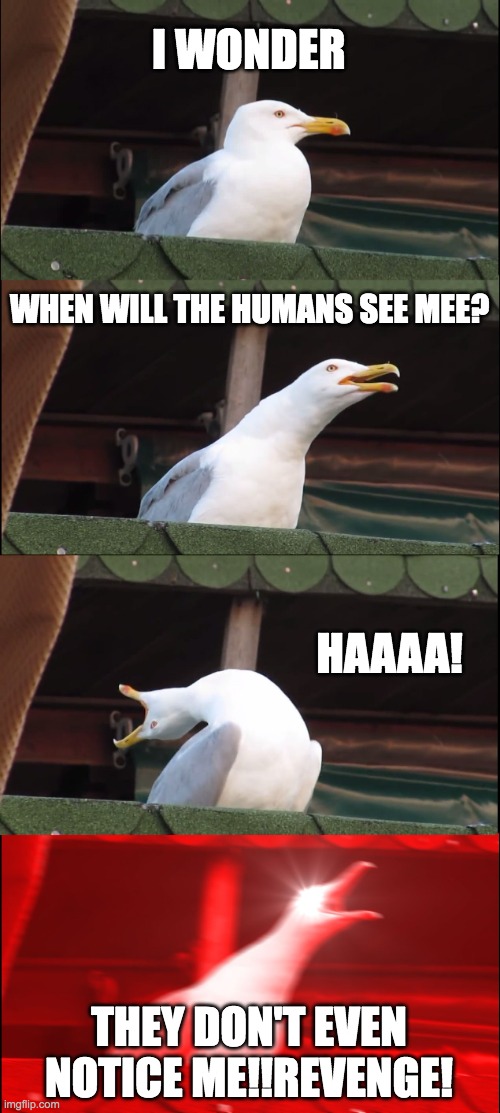 Inhaling Seagull | I WONDER; WHEN WILL THE HUMANS SEE MEE? HAAAA! THEY DON'T EVEN NOTICE ME!!REVENGE! | image tagged in memes,inhaling seagull | made w/ Imgflip meme maker