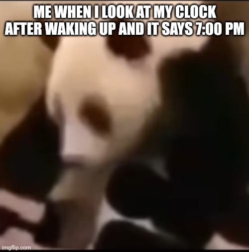 Ladies and gentlemen, panda :) |  ME WHEN I LOOK AT MY CLOCK AFTER WAKING UP AND IT SAYS 7:00 PM | image tagged in panda,late | made w/ Imgflip meme maker