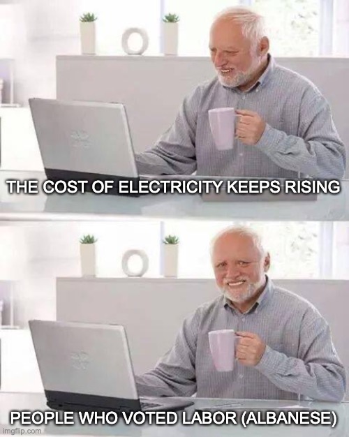 A comment I sent earlier | THE COST OF ELECTRICITY KEEPS RISING; PEOPLE WHO VOTED LABOR (ALBANESE) | image tagged in memes,hide the pain harold,anthony albanese,labor party,electricity,expensive | made w/ Imgflip meme maker