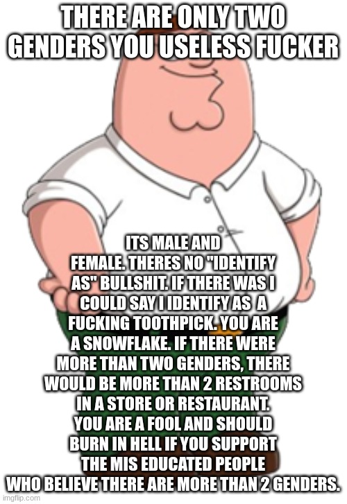 20 upvotes and this goes into lgbtq stream | THERE ARE ONLY TWO GENDERS YOU USELESS FUCKER; ITS MALE AND FEMALE. THERES NO "IDENTIFY AS" BULLSHIT. IF THERE WAS I COULD SAY I IDENTIFY AS  A FUCKING TOOTHPICK. YOU ARE A SNOWFLAKE. IF THERE WERE MORE THAN TWO GENDERS, THERE WOULD BE MORE THAN 2 RESTROOMS IN A STORE OR RESTAURANT. YOU ARE A FOOL AND SHOULD BURN IN HELL IF YOU SUPPORT THE MIS EDUCATED PEOPLE WHO BELIEVE THERE ARE MORE THAN 2 GENDERS. | image tagged in peter griffin | made w/ Imgflip meme maker