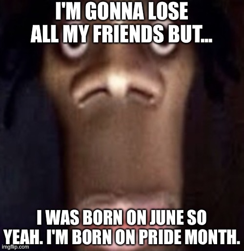 Quandale dingle | I'M GONNA LOSE ALL MY FRIENDS BUT... I WAS BORN ON JUNE SO YEAH. I'M BORN ON PRIDE MONTH. | image tagged in quandale dingle | made w/ Imgflip meme maker