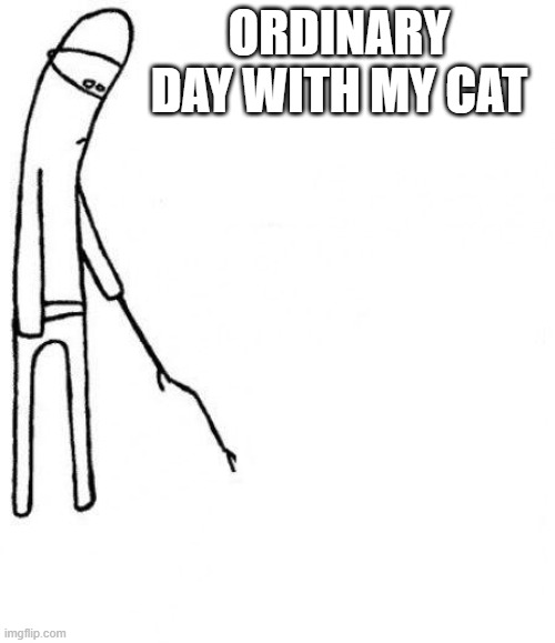 cat | ORDINARY DAY WITH MY CAT | image tagged in c'mon do something | made w/ Imgflip meme maker