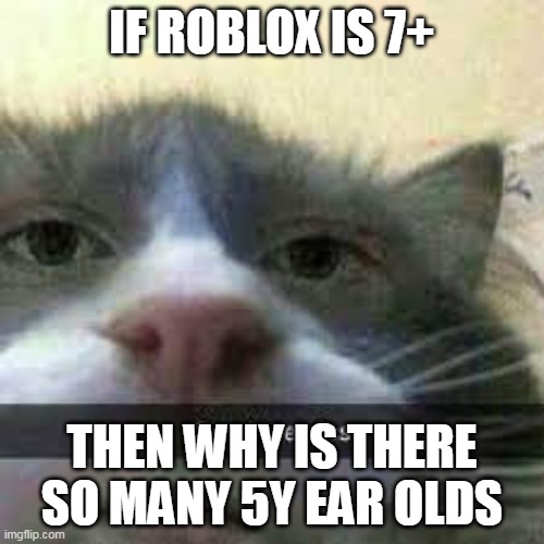send toe pics cat | IF ROBLOX IS 7+; THEN WHY IS THERE SO MANY 5Y EAR OLDS | image tagged in send toe pics cat | made w/ Imgflip meme maker
