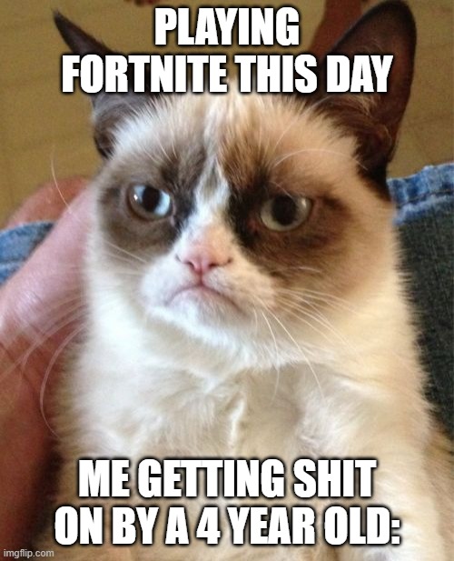 playing fortnite this days | PLAYING FORTNITE THIS DAY; ME GETTING SHIT ON BY A 4 YEAR OLD: | image tagged in memes,grumpy cat | made w/ Imgflip meme maker