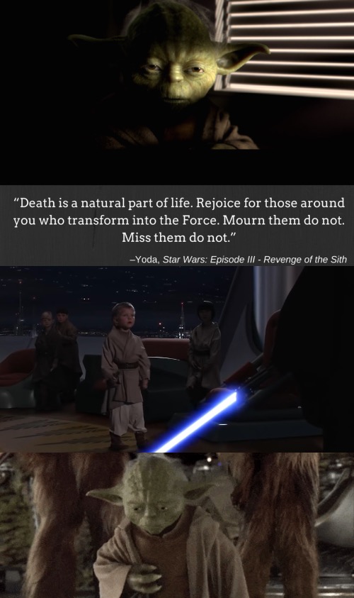 Miss them do not | image tagged in star wars,star wars yoda,funny,order 66,jedi | made w/ Imgflip meme maker