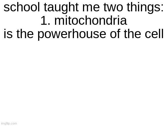 title | school taught me two things:
1. mitochondria is the powerhouse of the cell | image tagged in blank white template | made w/ Imgflip meme maker