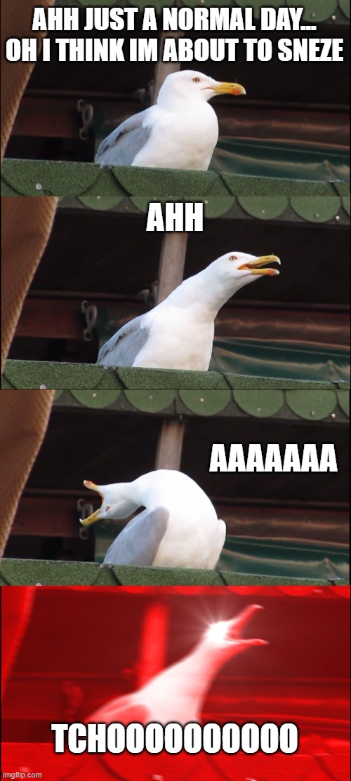 acho | AHH JUST A NORMAL DAY... OH I THINK IM ABOUT TO SNEZE; AHH; AAAAAAA; TCHOOOOOOOOOO | image tagged in memes,inhaling seagull | made w/ Imgflip meme maker