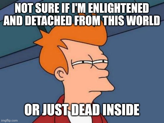 Futurama Fry Meme | NOT SURE IF I'M ENLIGHTENED AND DETACHED FROM THIS WORLD; OR JUST DEAD INSIDE | image tagged in memes,futurama fry | made w/ Imgflip meme maker